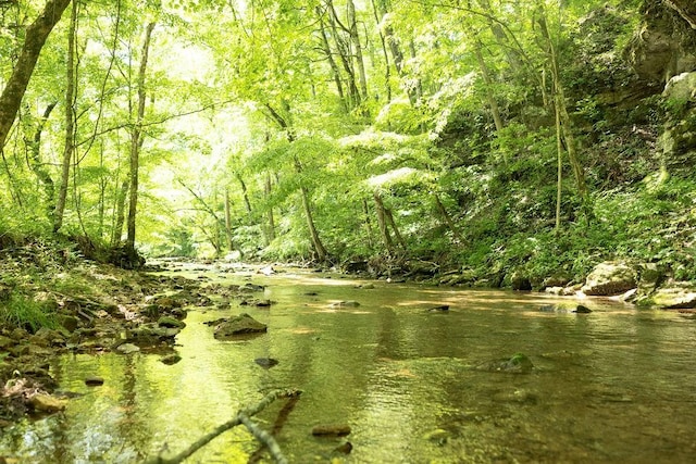 5590 Chambers Rd, Cumberland Furnace, TN 37051 - water view featuring a forest