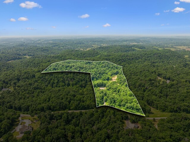 2806 Haywood Hollow Rd, Columbia, TN 38401 - photo 33