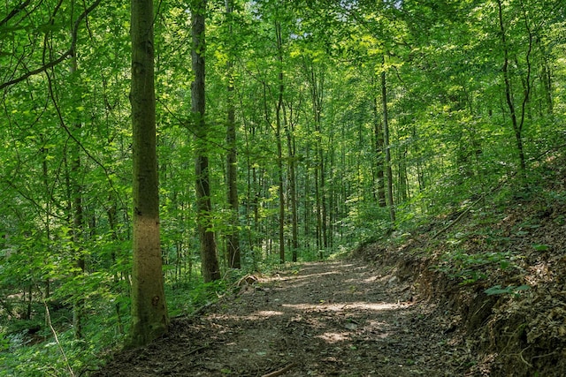 2806 Haywood Hollow Rd, Columbia, TN 38401 - photo 38
