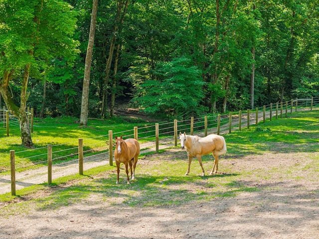 2806 Haywood Hollow Rd, Columbia, TN 38401 - photo 26