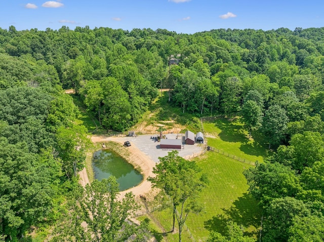 2806 Haywood Hollow Rd, Columbia, TN 38401 - photo 32