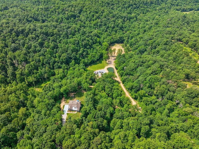 2806 Haywood Hollow Rd, Columbia, TN 38401 - photo 35