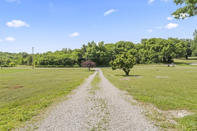 1510 Wade Brown Rd, Lewisburg, TN 37091 - photo 7