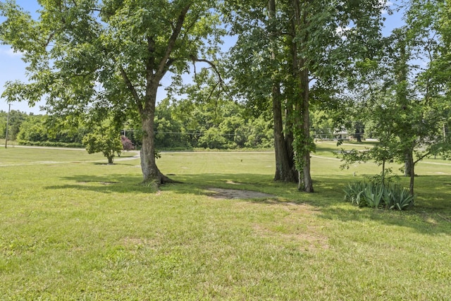 1510 Wade Brown Rd, Lewisburg, TN 37091 - photo 17