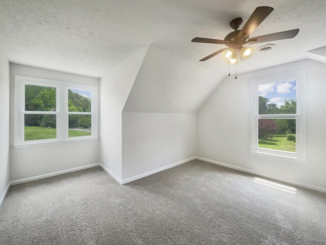 204 Melodie Dr, Clarksville, TN 37043 - photo 20
