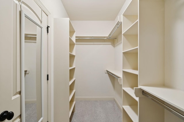 4181 Miles Johnson Pkwy, Spring Hill, TN 37174 - spacious closet featuring carpet