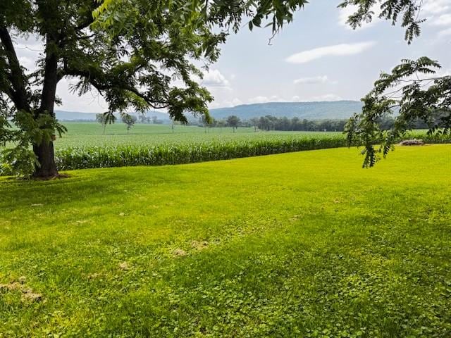 2160 Francisco Rd, Huntland, TN 37345 - photo 21