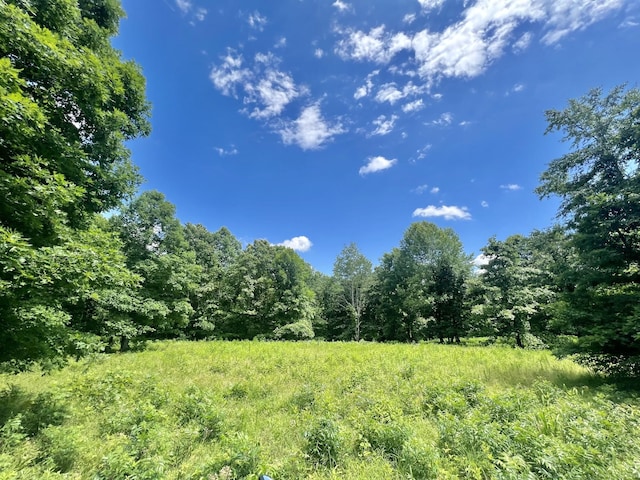 0 Powdermill Branch Rd, Summertown, TN 38483