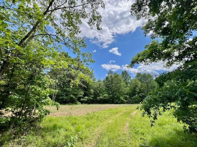 0 Powdermill Branch Rd, Summertown, TN 38483