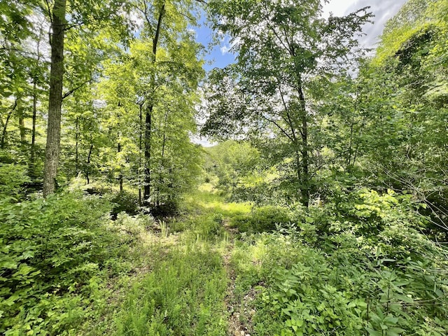 0 Powdermill Branch Rd, Summertown, TN 38483