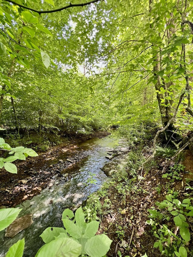 0 Powdermill Branch Rd, Summertown, TN 38483