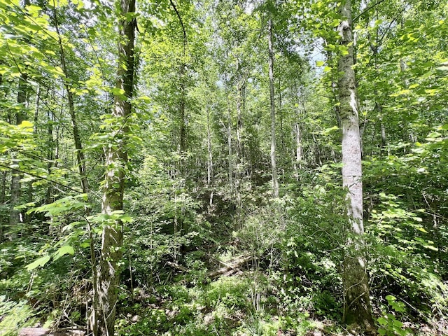 0 Powdermill Branch Rd, Summertown, TN 38483