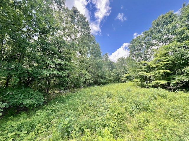 0 Powdermill Branch Rd, Summertown, TN 38483