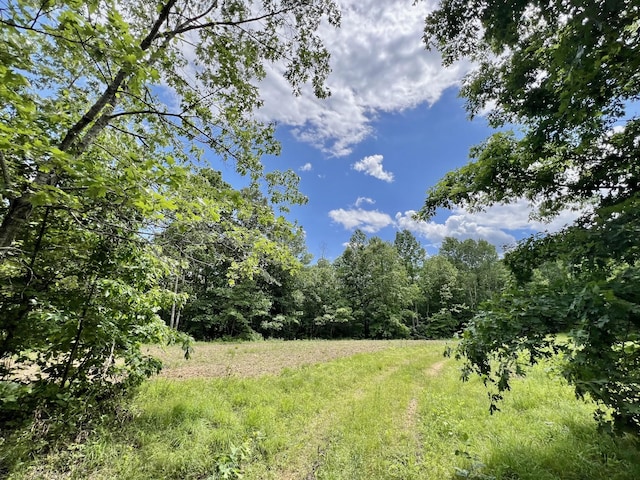 0 Powdermill Branch Rd, Summertown, TN 38483