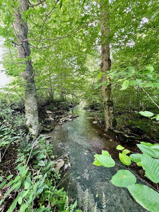 0 Powdermill Branch Rd, Summertown, TN 38483