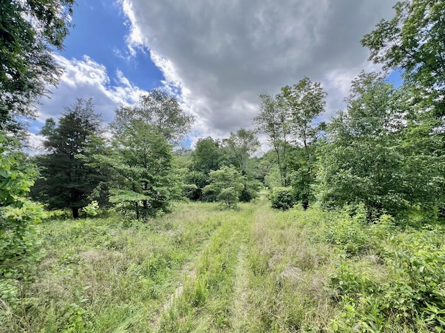 0 Powdermill Branch Rd, Summertown, TN 38483