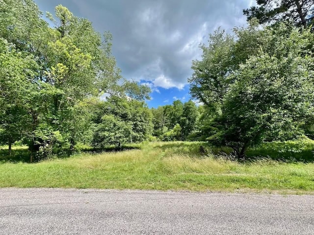 0 Powdermill Branch Rd, Summertown, TN 38483