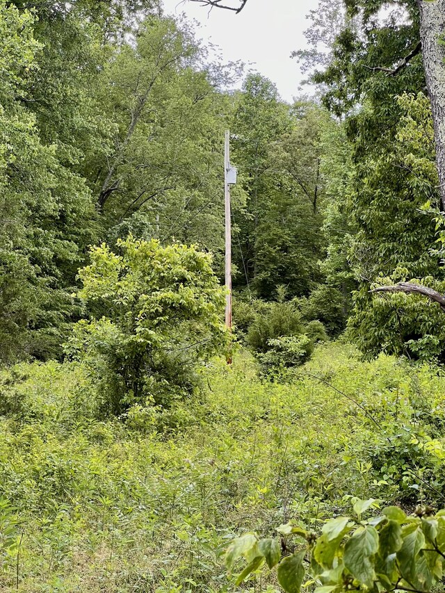 0 Powdermill Branch Rd, Summertown, TN 38483