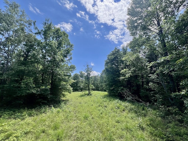 0 Powdermill Branch Rd, Summertown, TN 38483