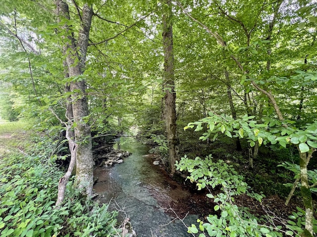 0 Powdermill Branch Rd, Summertown, TN 38483