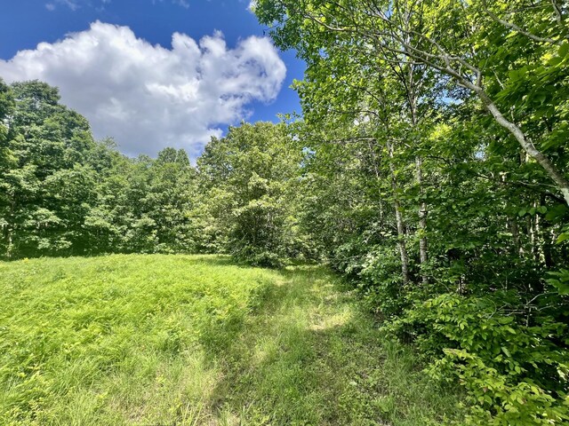 0 Powdermill Branch Rd, Summertown, TN 38483