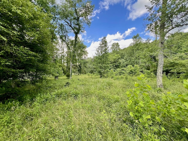 0 Powdermill Branch Rd, Summertown, TN 38483