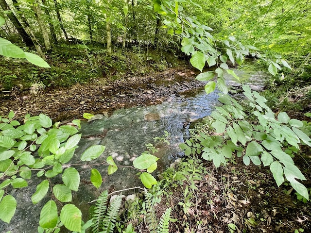 0 Powdermill Branch Rd, Summertown, TN 38483