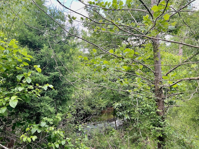 0 Powdermill Branch Rd, Summertown, TN 38483