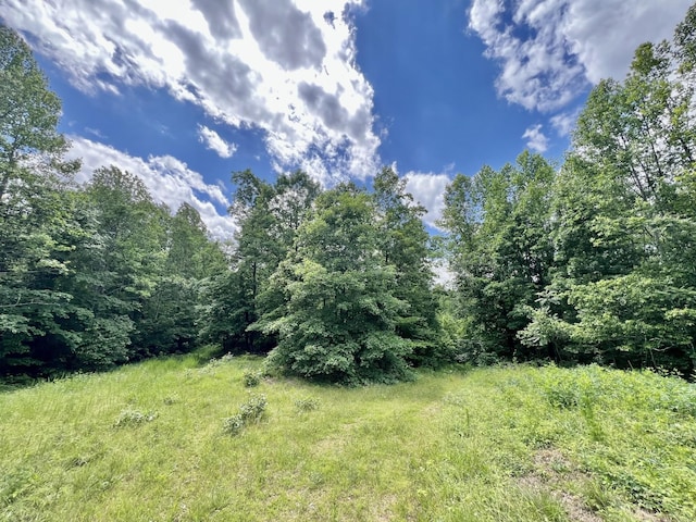 0 Powdermill Branch Rd, Summertown, TN 38483