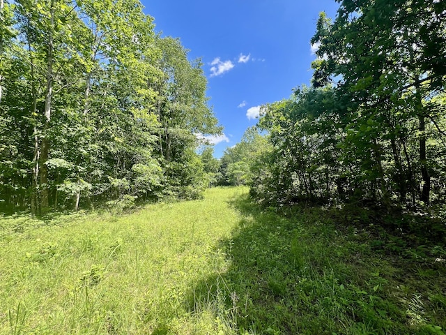 0 Powdermill Branch Rd, Summertown, TN 38483