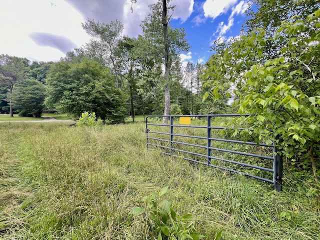 0 Powdermill Branch Rd, Summertown, TN 38483