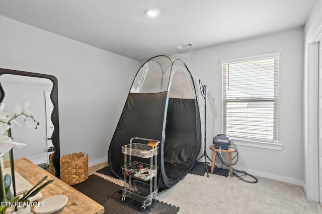 324 Gulfstream Dr, Gallatin, TN 37066 - miscellaneous room featuring plenty of natural light, carpet flooring, and baseboards