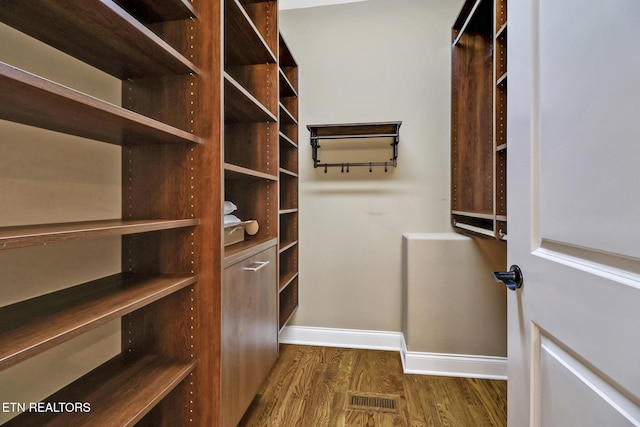 550 Stone Villa Ln, Knoxville, TN 37934 - walk in closet featuring dark wood-style floors