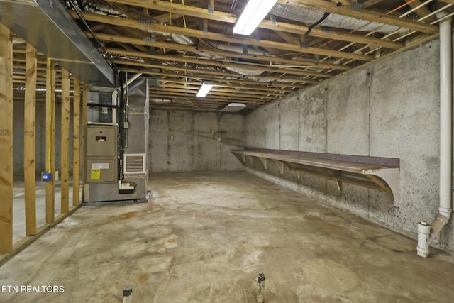 1396 N York Hwy Unit 1396, Jamestown, TN 38556 - unfinished below grade area with heating unit