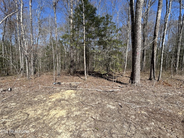 169 Creekview Ct, Jamestown, TN 38556 - view of wooded area