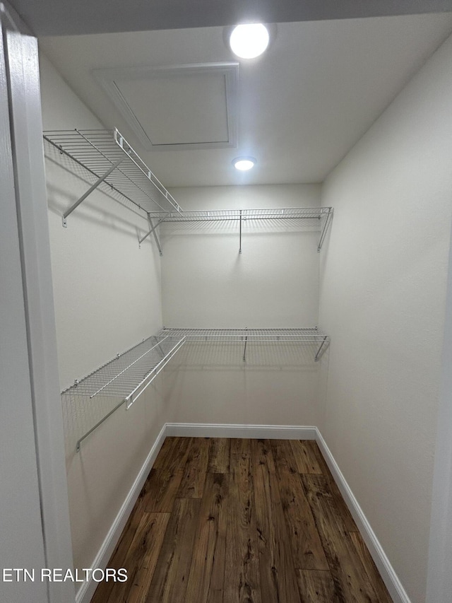 342 N Norris St, Jamestown, TN 38556 - walk in closet featuring dark wood-style floors