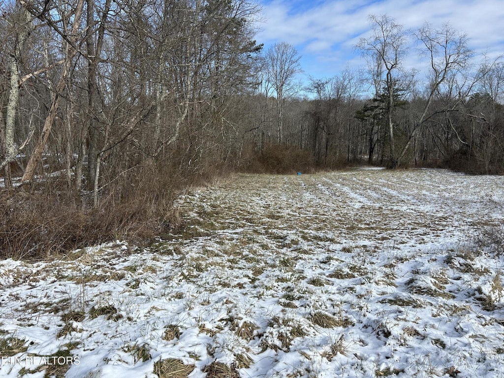 0 Chapman Rd, Jamestown, TN 38556
