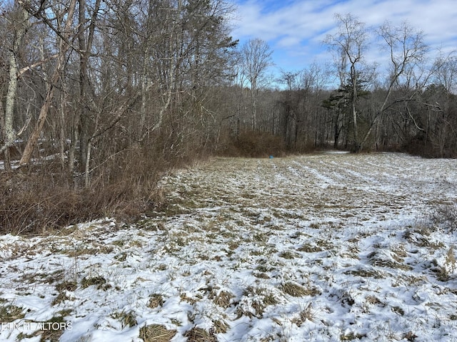0 Chapman Rd, Jamestown, TN 38556
