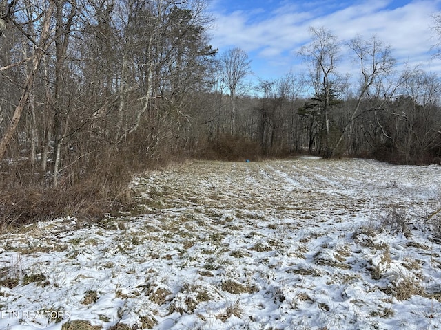 0 Chapman Rd, Jamestown, TN 38556