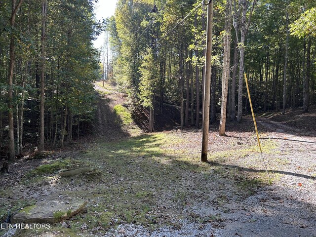 301 Joe Barnett Rd, Jamestown, TN 38556 - view of yard