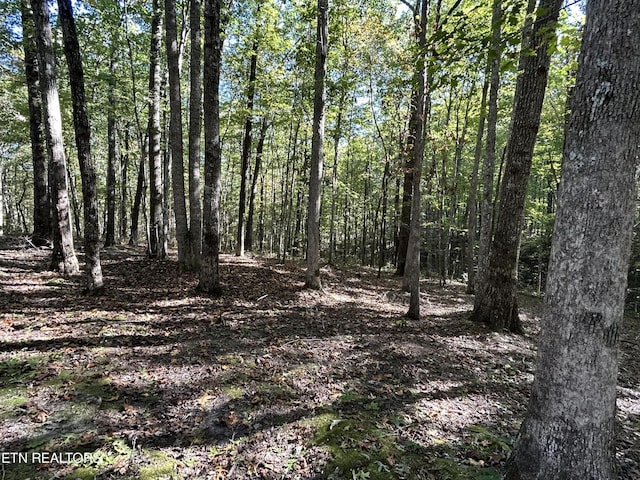 301 Joe Barnett Rd, Jamestown, TN 38556 - view of woods