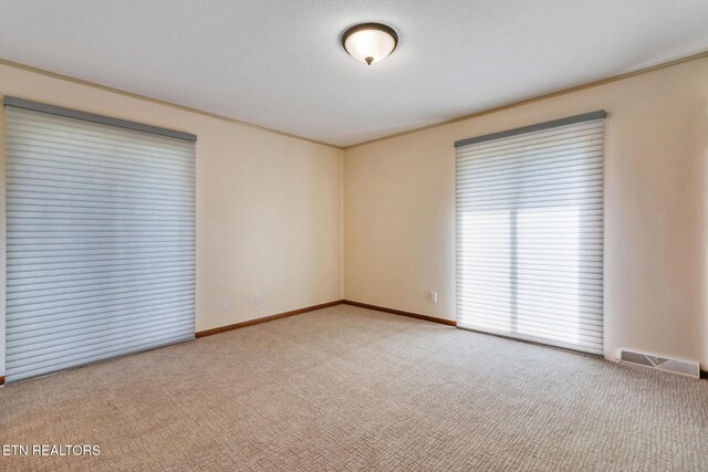 10105 Loma Dr, Knoxville, TN 37922 - photo 26