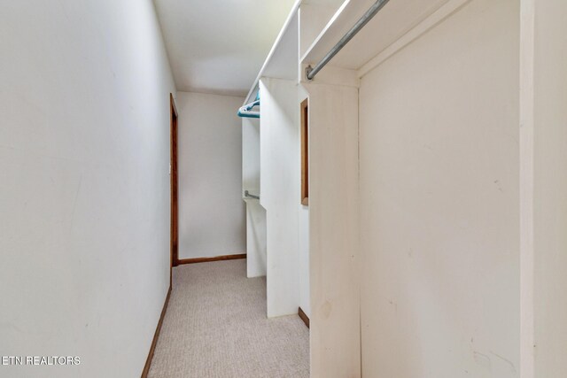 10105 Loma Dr, Knoxville, TN 37922 - photo 24