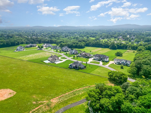 3013 Berry Patch Trl, Rockvale, TN 37153 - aerial perspective of suburban area