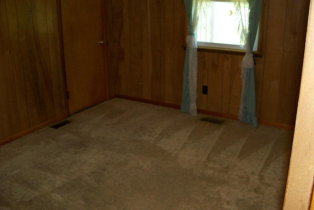 7985 Francis Ferry Rd, Rock Island, TN 38581 - spare room with carpet, wood walls, and baseboards