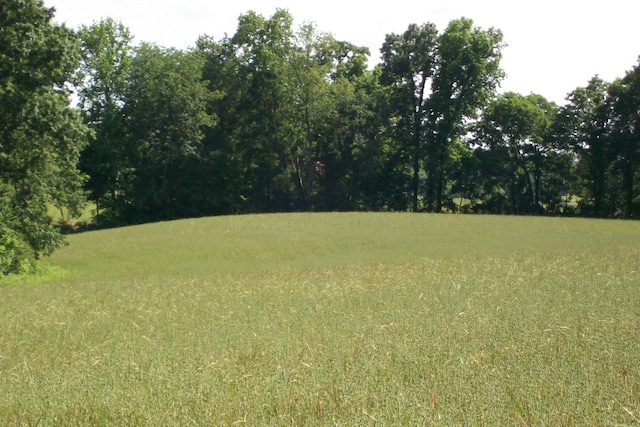 7985 Francis Ferry Rd, Rock Island, TN 38581 - view of yard