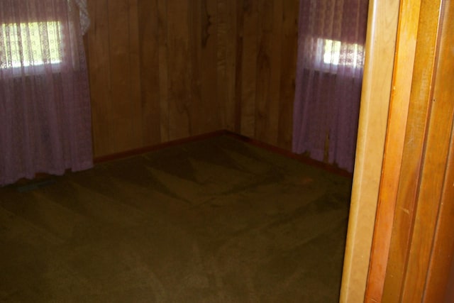 7985 Francis Ferry Rd, Rock Island, TN 38581 - unfurnished room with wooden walls