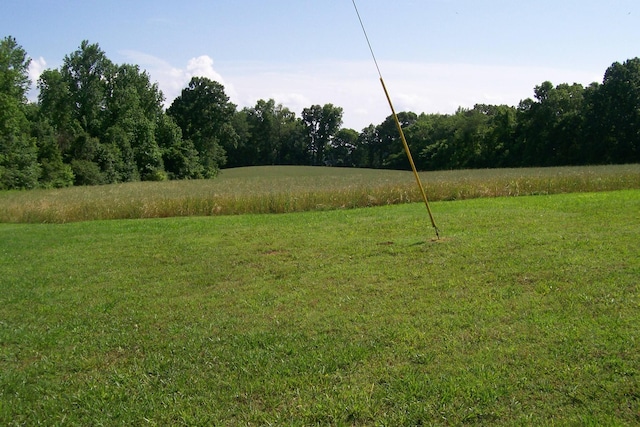 7985 Francis Ferry Rd, Rock Island, TN 38581 - view of grassy yard with a wooded view