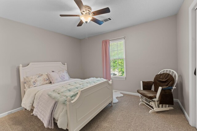 2216 Falcon Creek Dr, Franklin, TN 37067 - photo 16