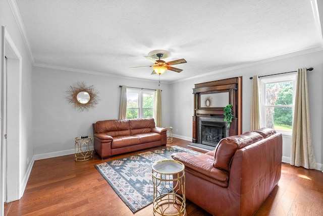 6085 Blue Springs Rd, Cadiz, KY 42211 - living room with a textured ceiling, wood finished floors, a fireplace with raised hearth, ornamental molding, and ceiling fan